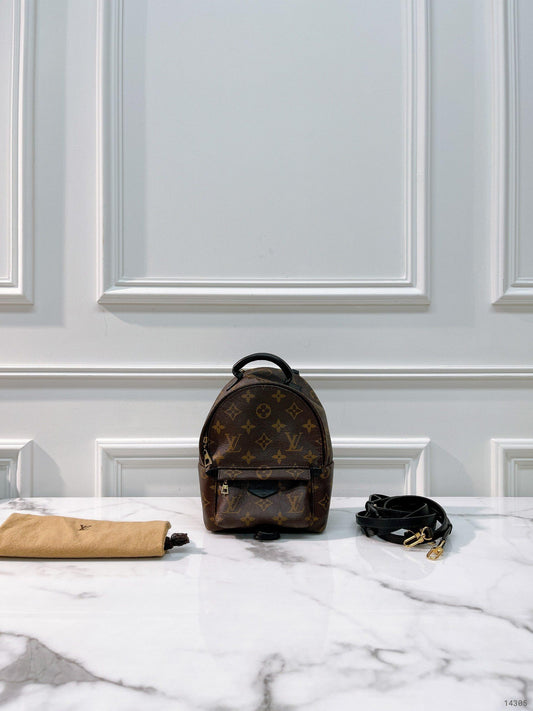 LV PALM SPRING MINI