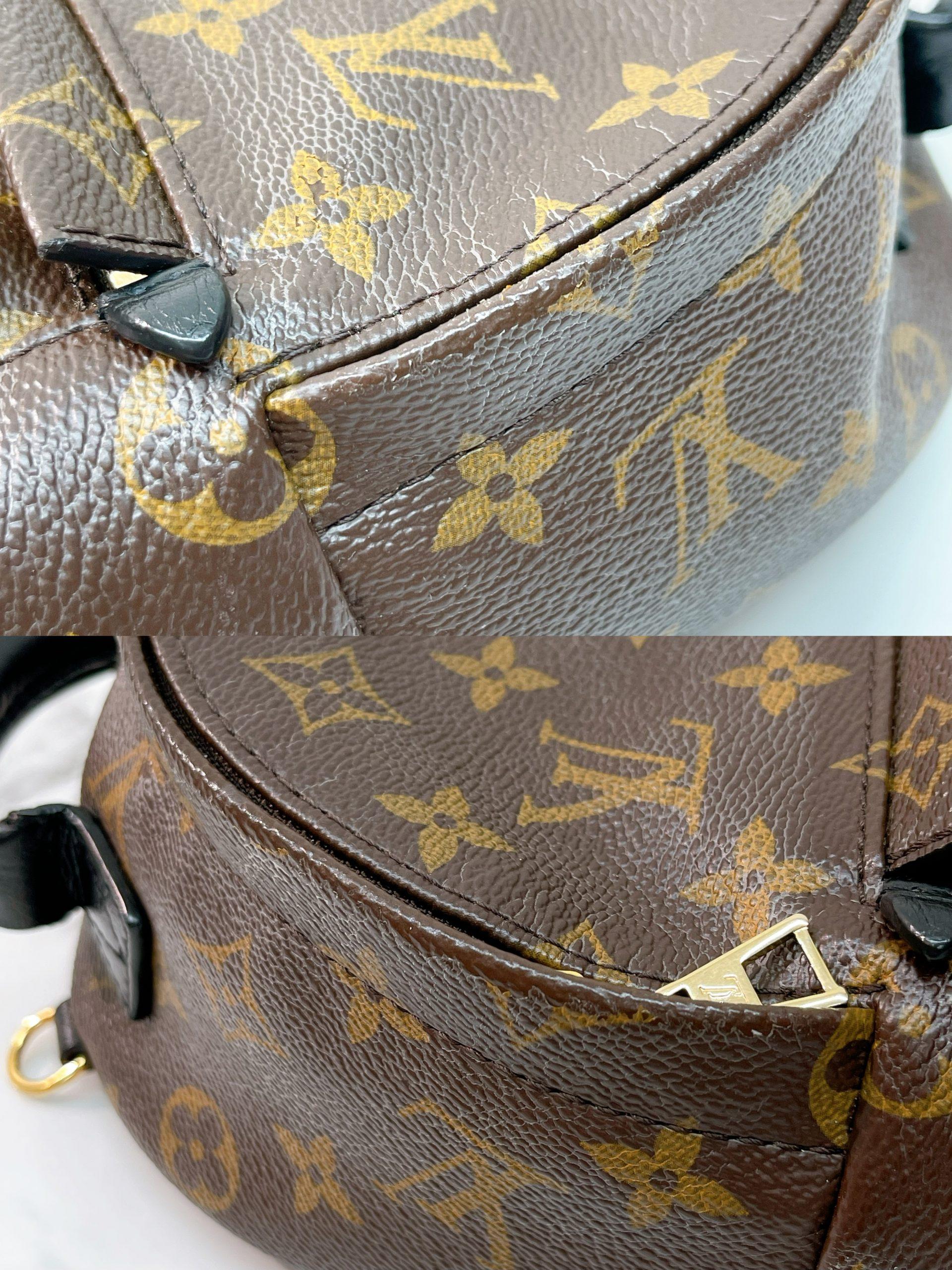 LV PALM SPRING MINI