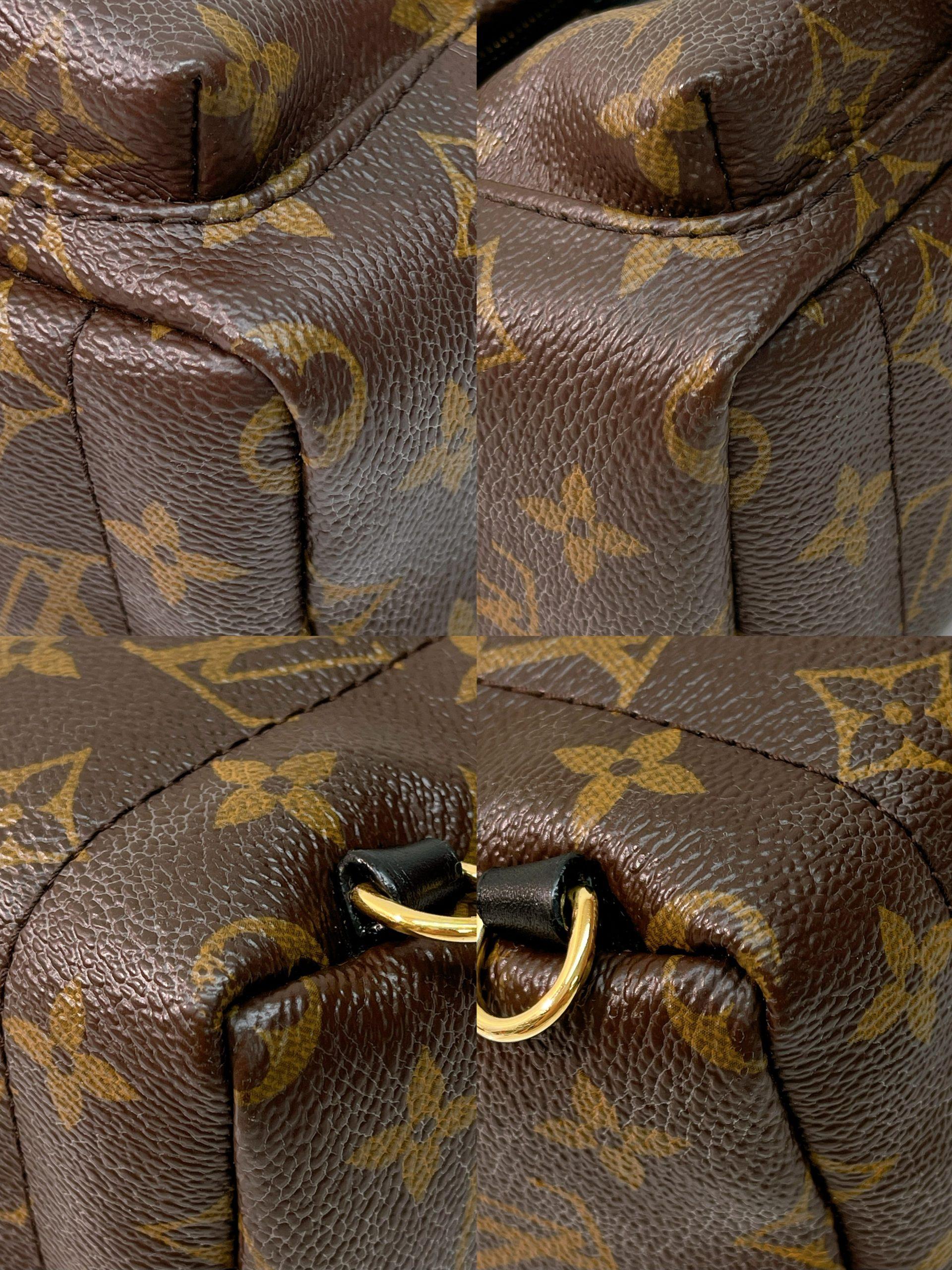 LV PALM SPRING MINI