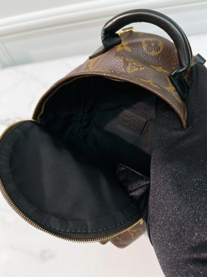 LV PALM SPRING MINI