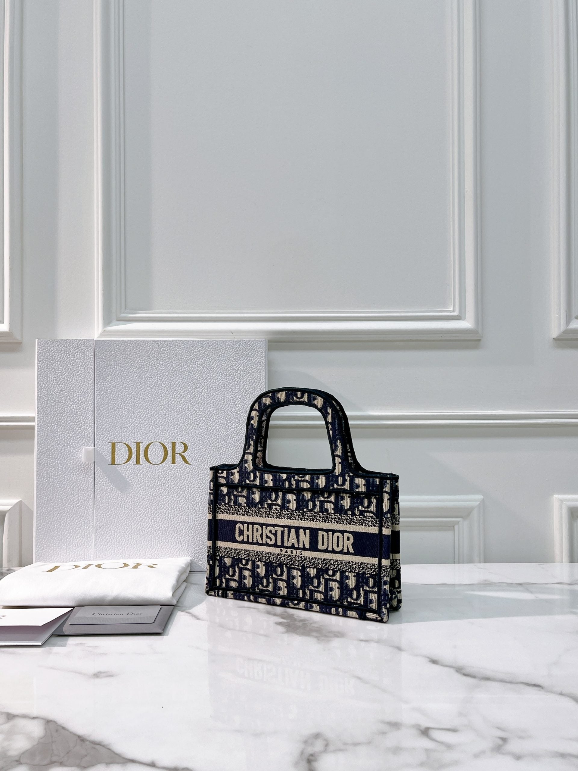 DIOR BOOK TOTE MINI