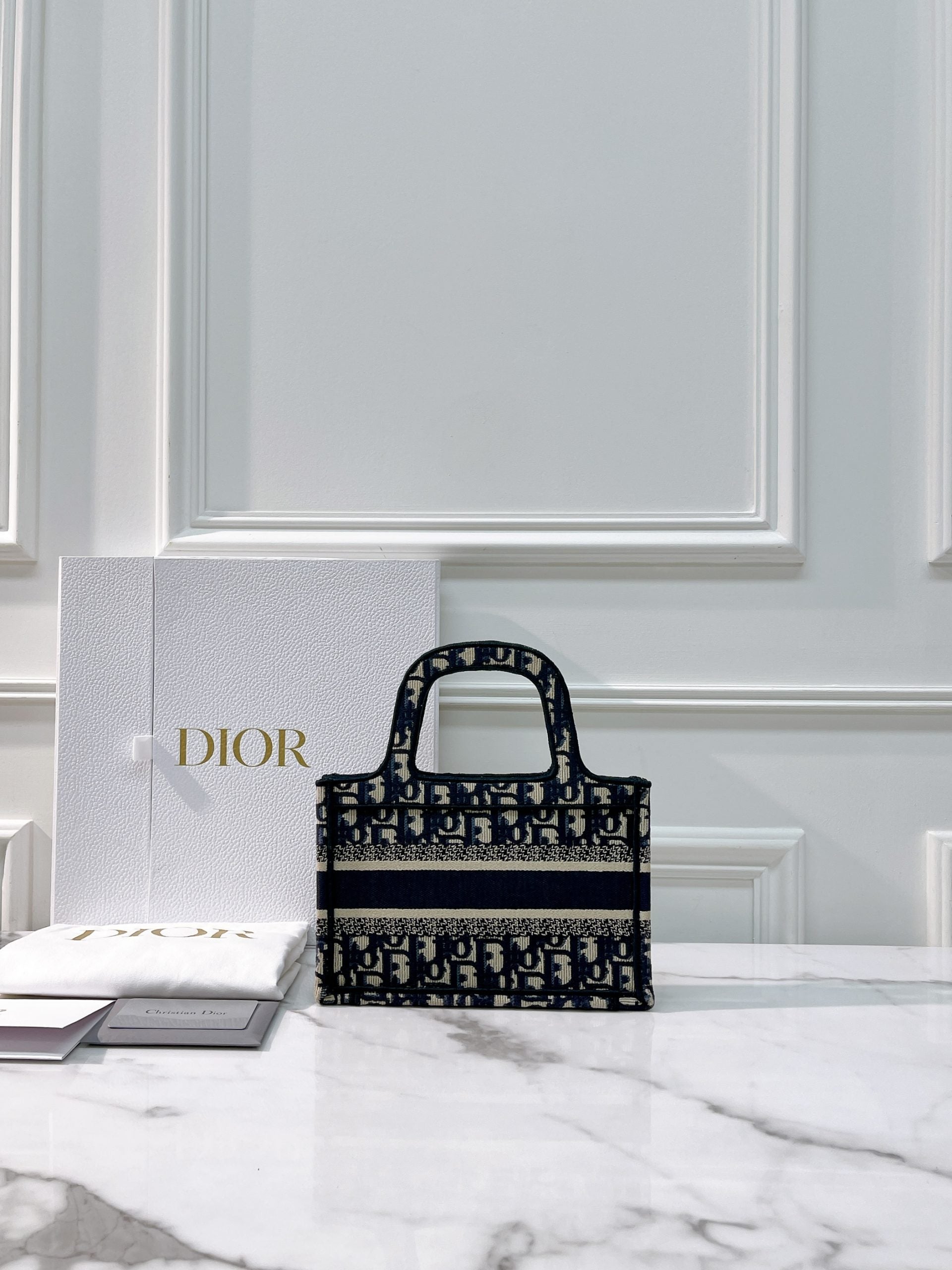 DIOR BOOK TOTE MINI