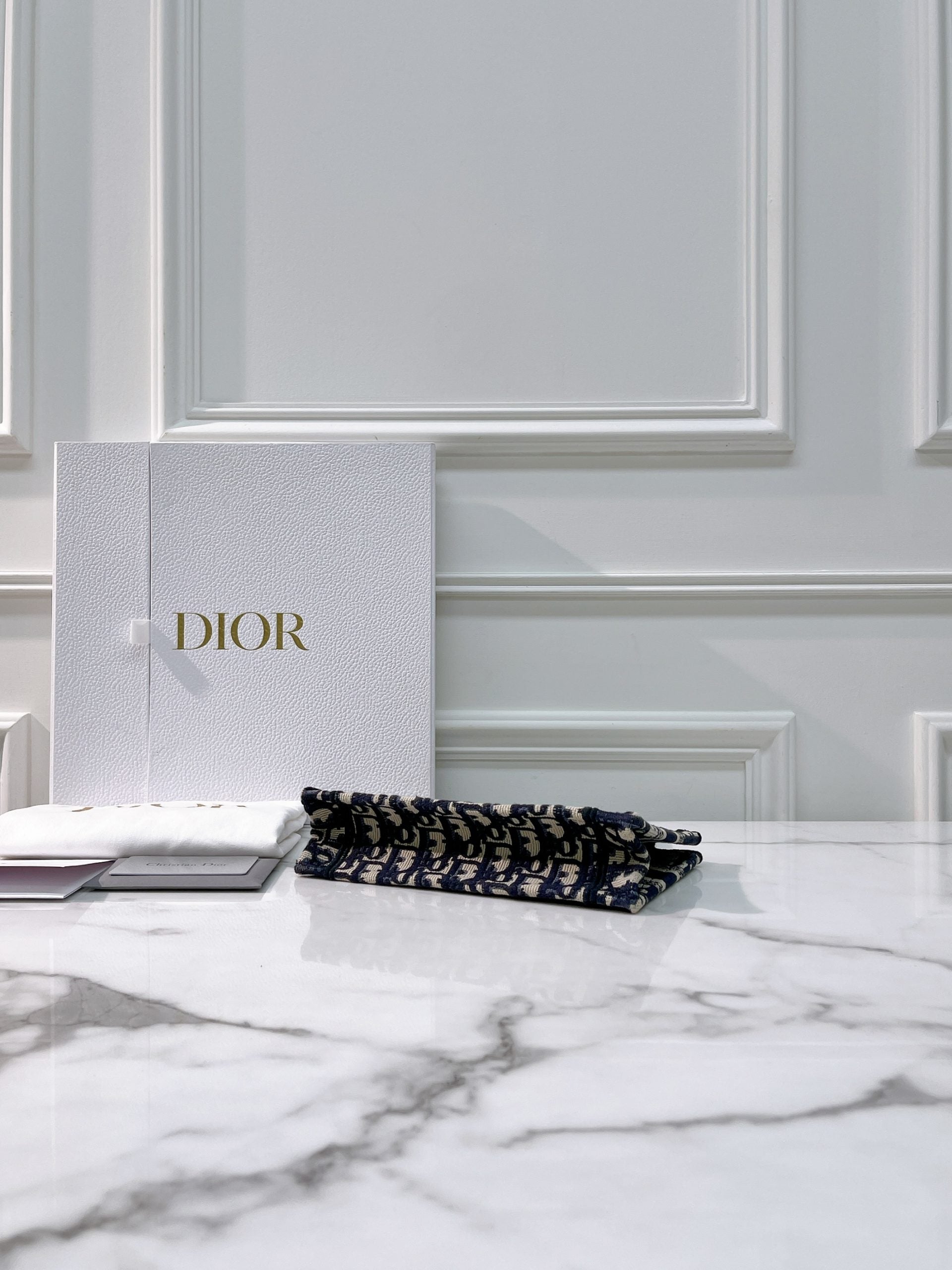 DIOR BOOK TOTE MINI