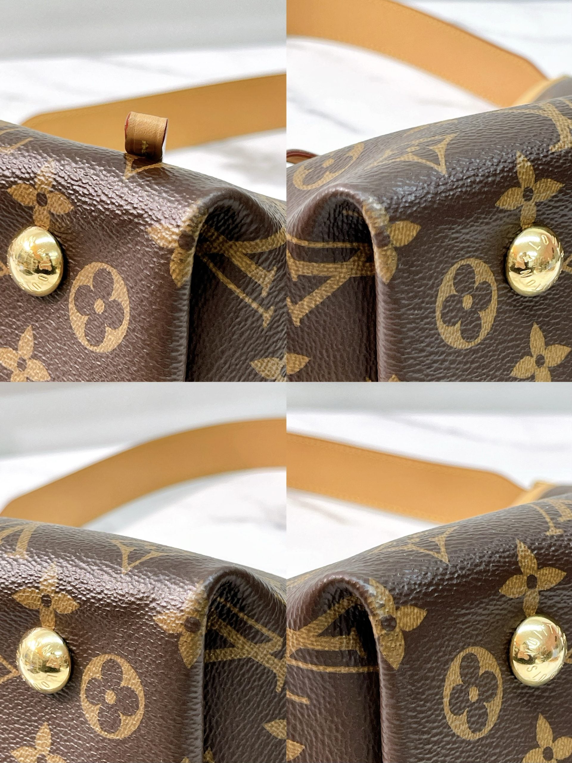 LV CARRYALL PM