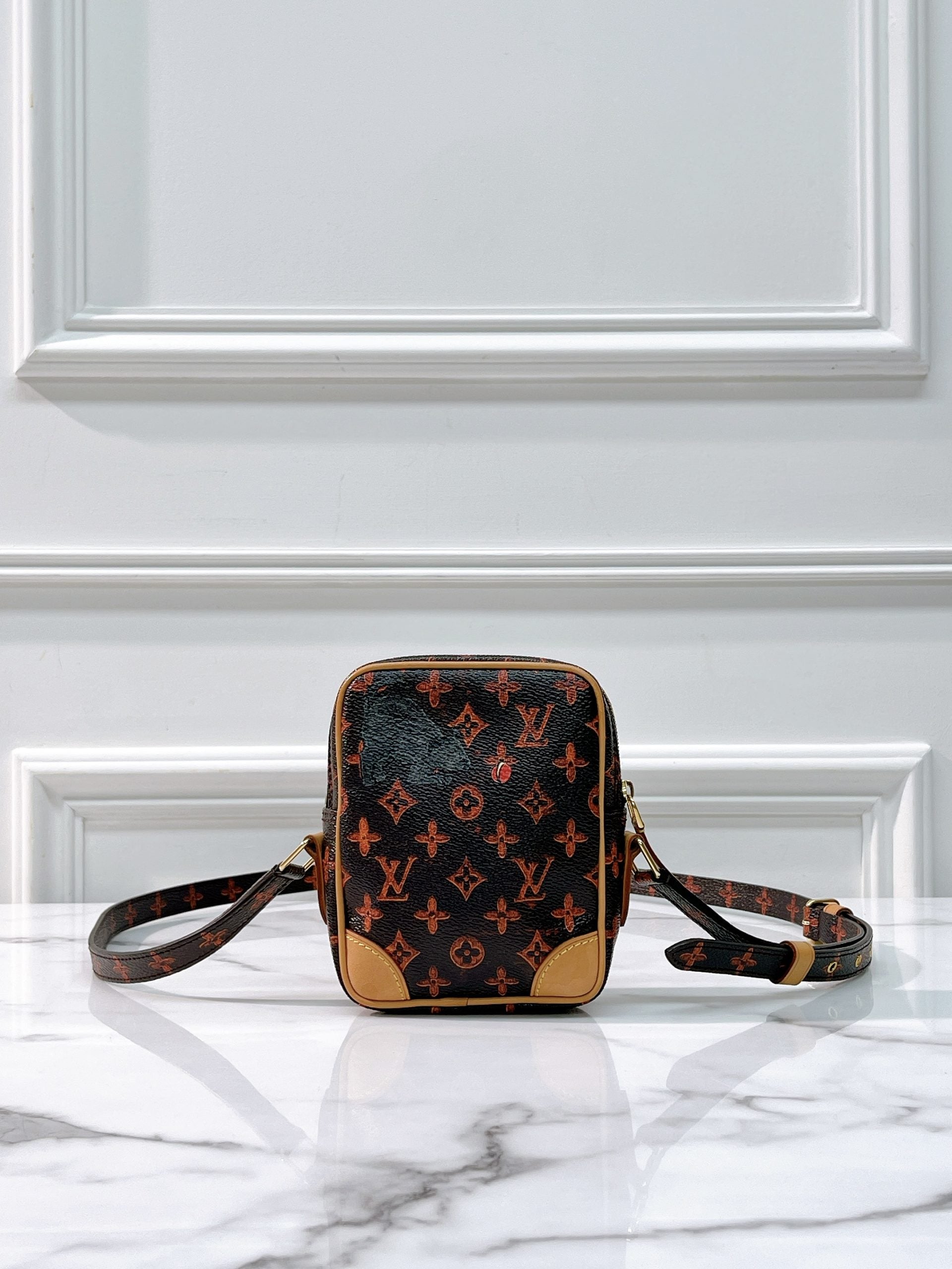 LV CAMERA BAG