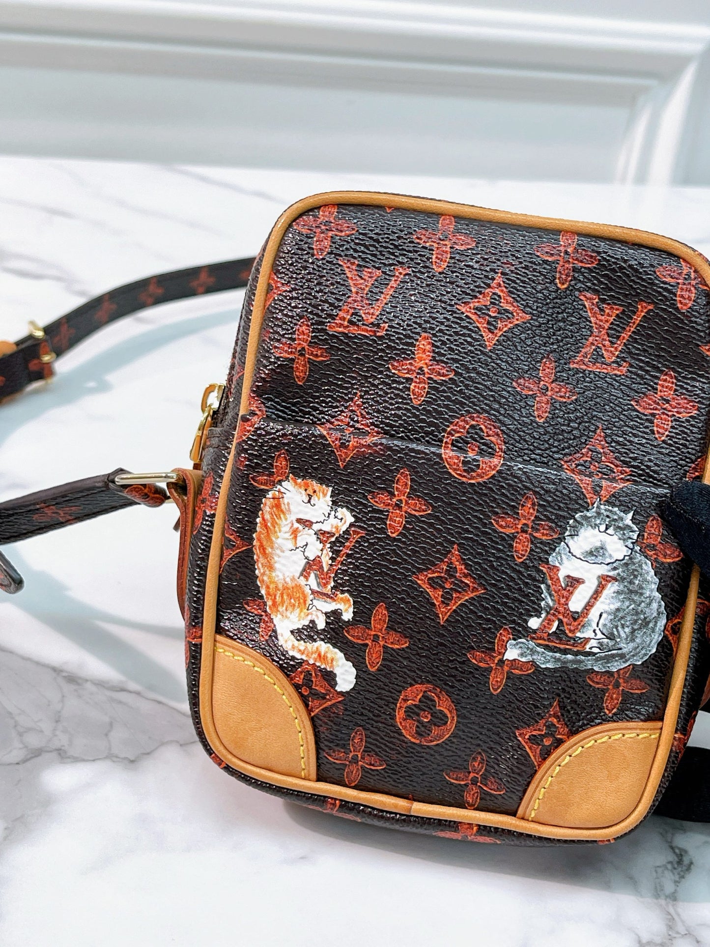 LV CAMERA BAG