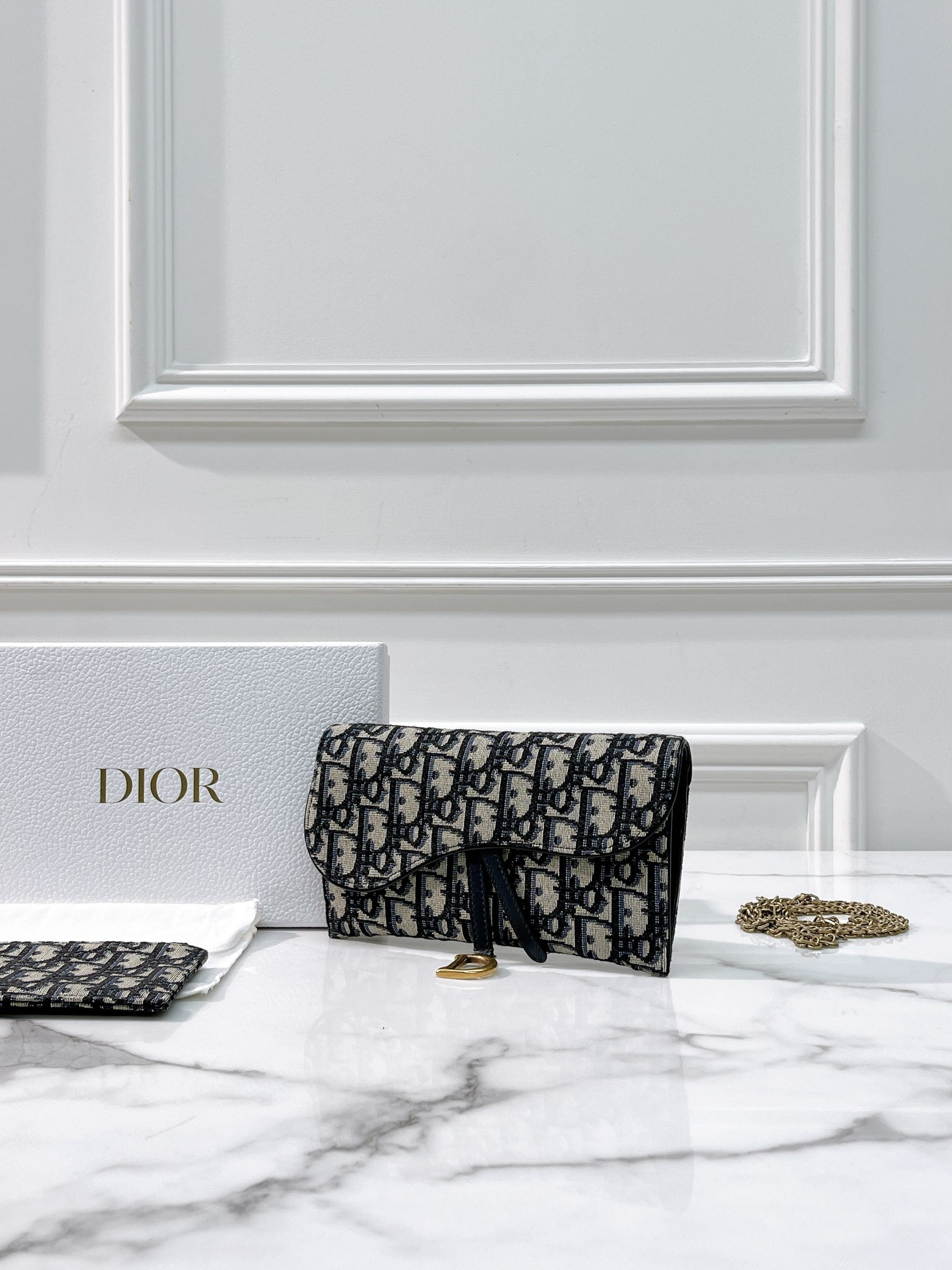 DIOR SADDLE WOC