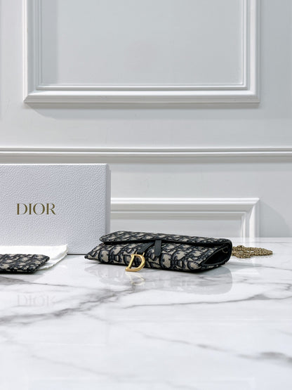 DIOR SADDLE WOC