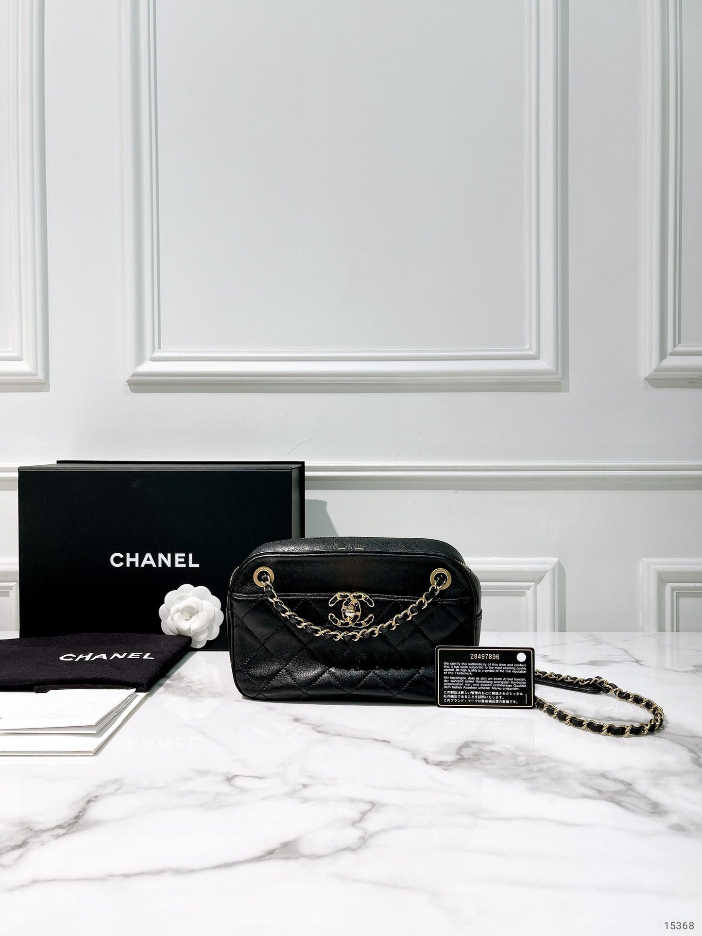 CHANEL 19 CAMERA BAG