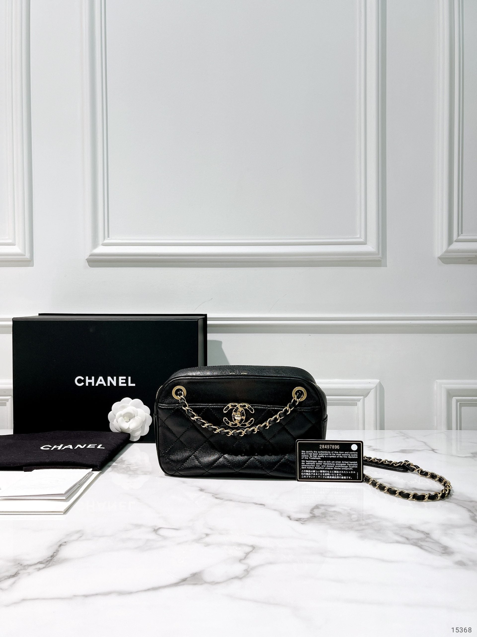 CHANEL 19 CAMERA BAG
