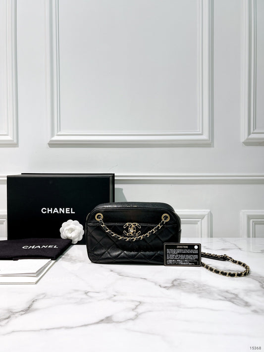 CHANEL 19 CAMERA BAG