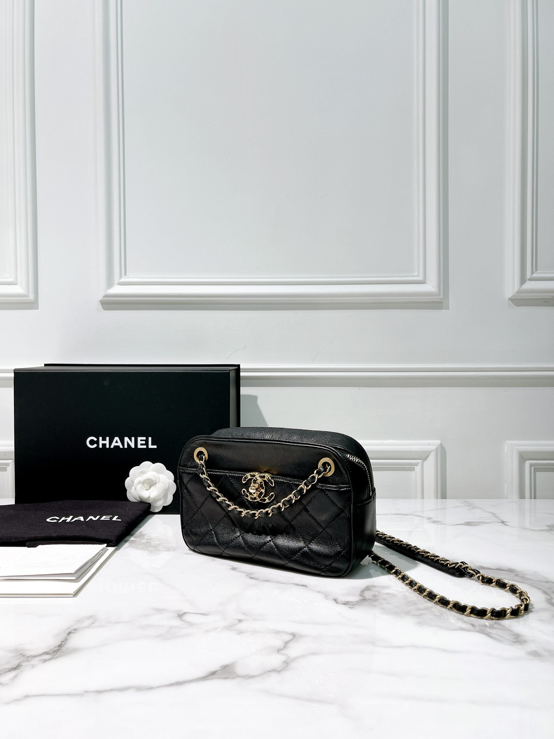 CHANEL 19 CAMERA BAG