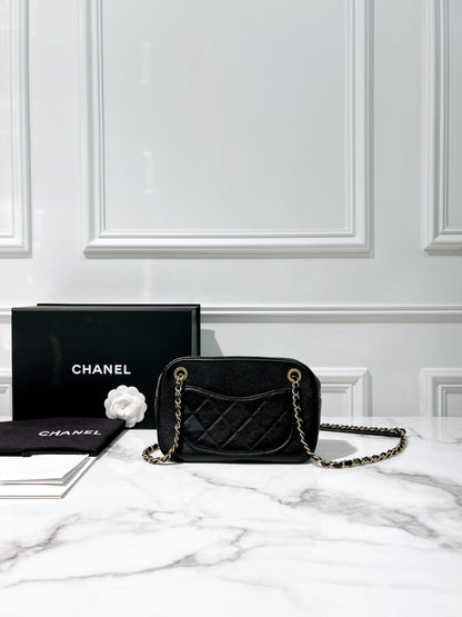 CHANEL 19 CAMERA BAG