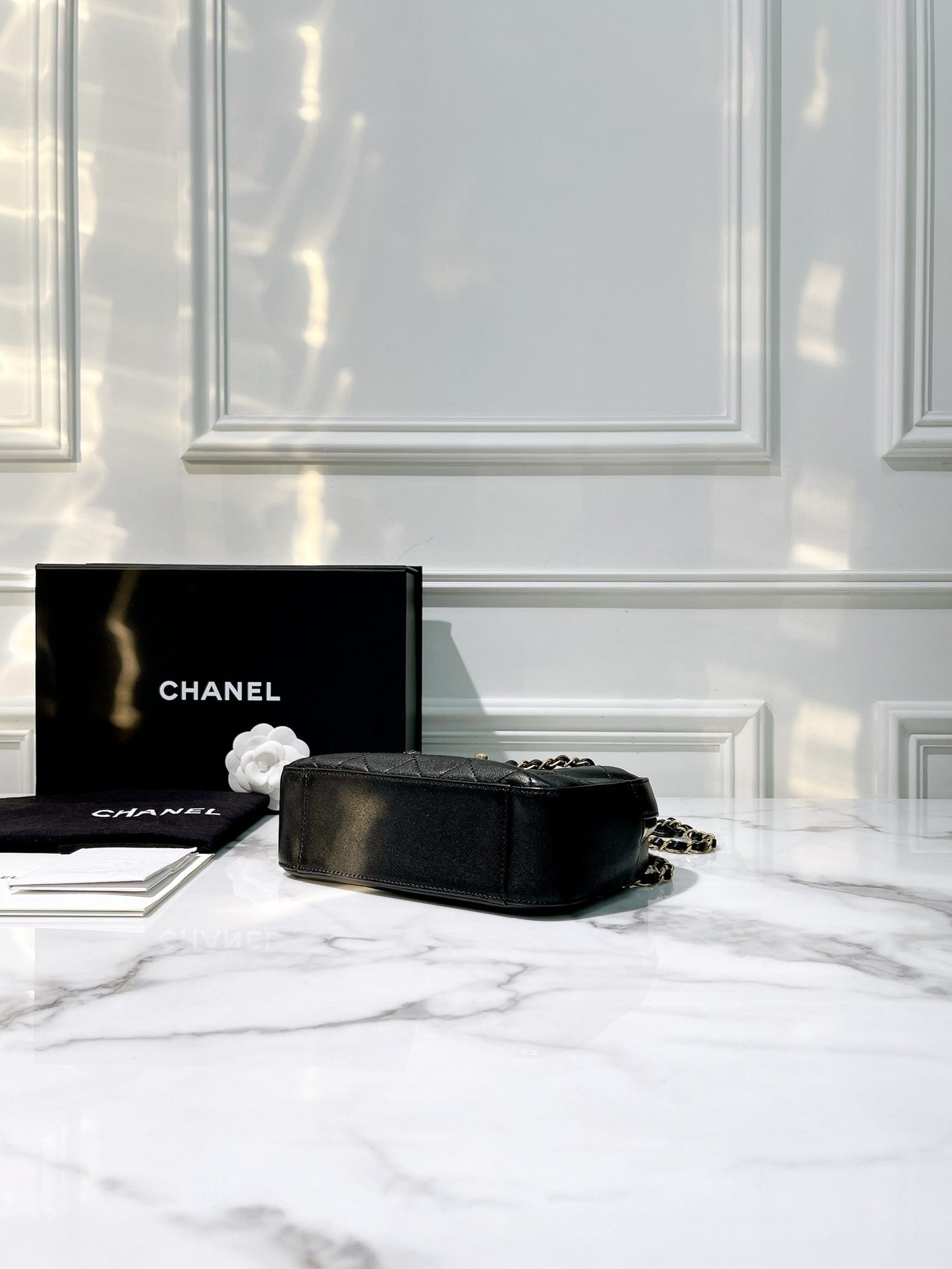 CHANEL 19 CAMERA BAG