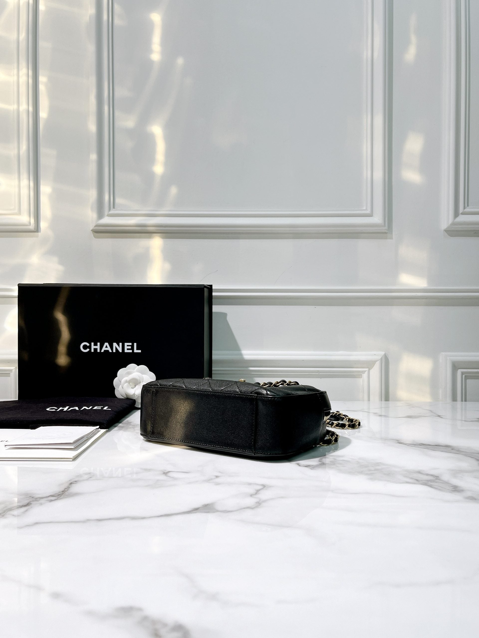 CHANEL 19 CAMERA BAG