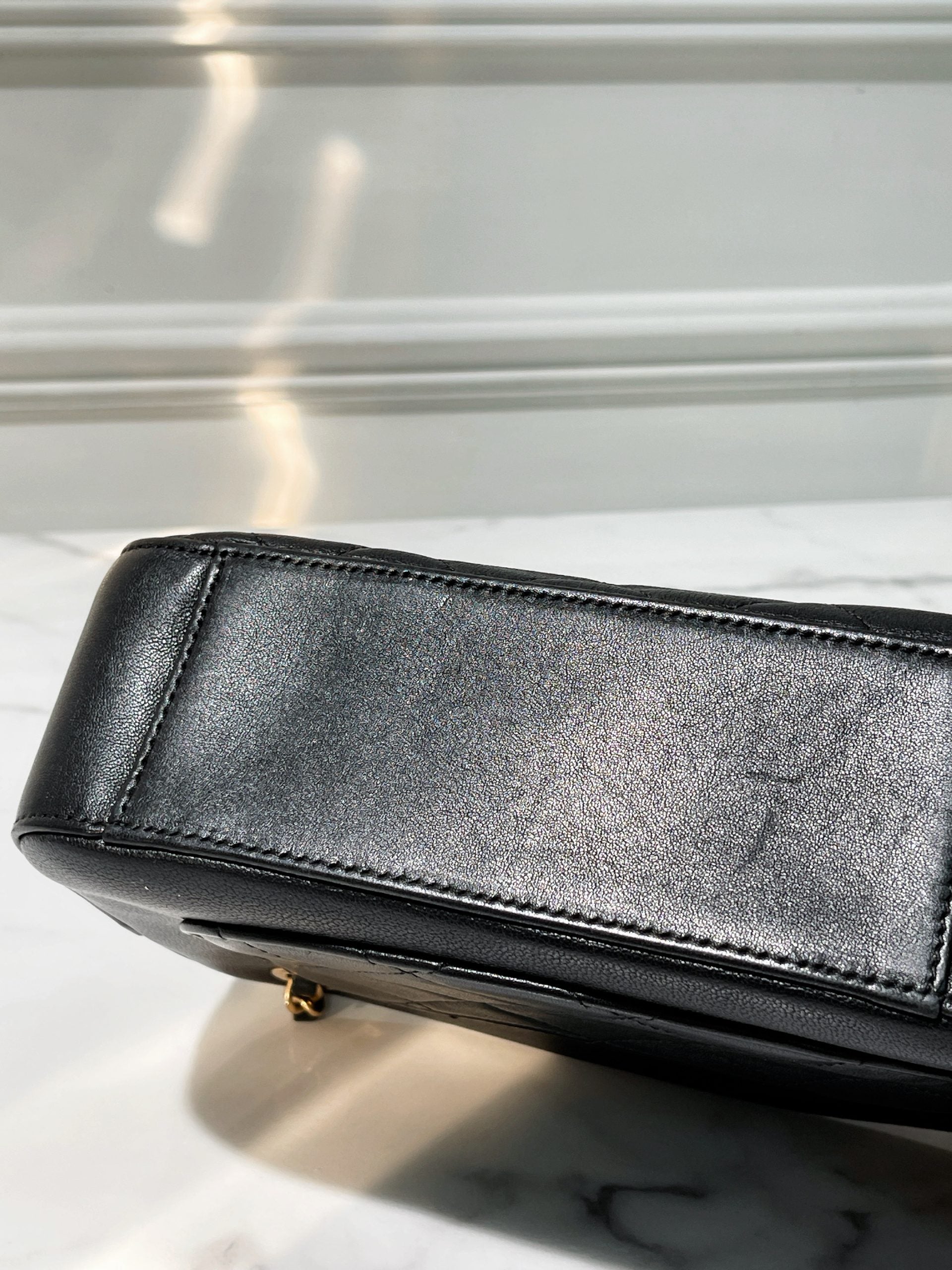 CHANEL 19 CAMERA BAG