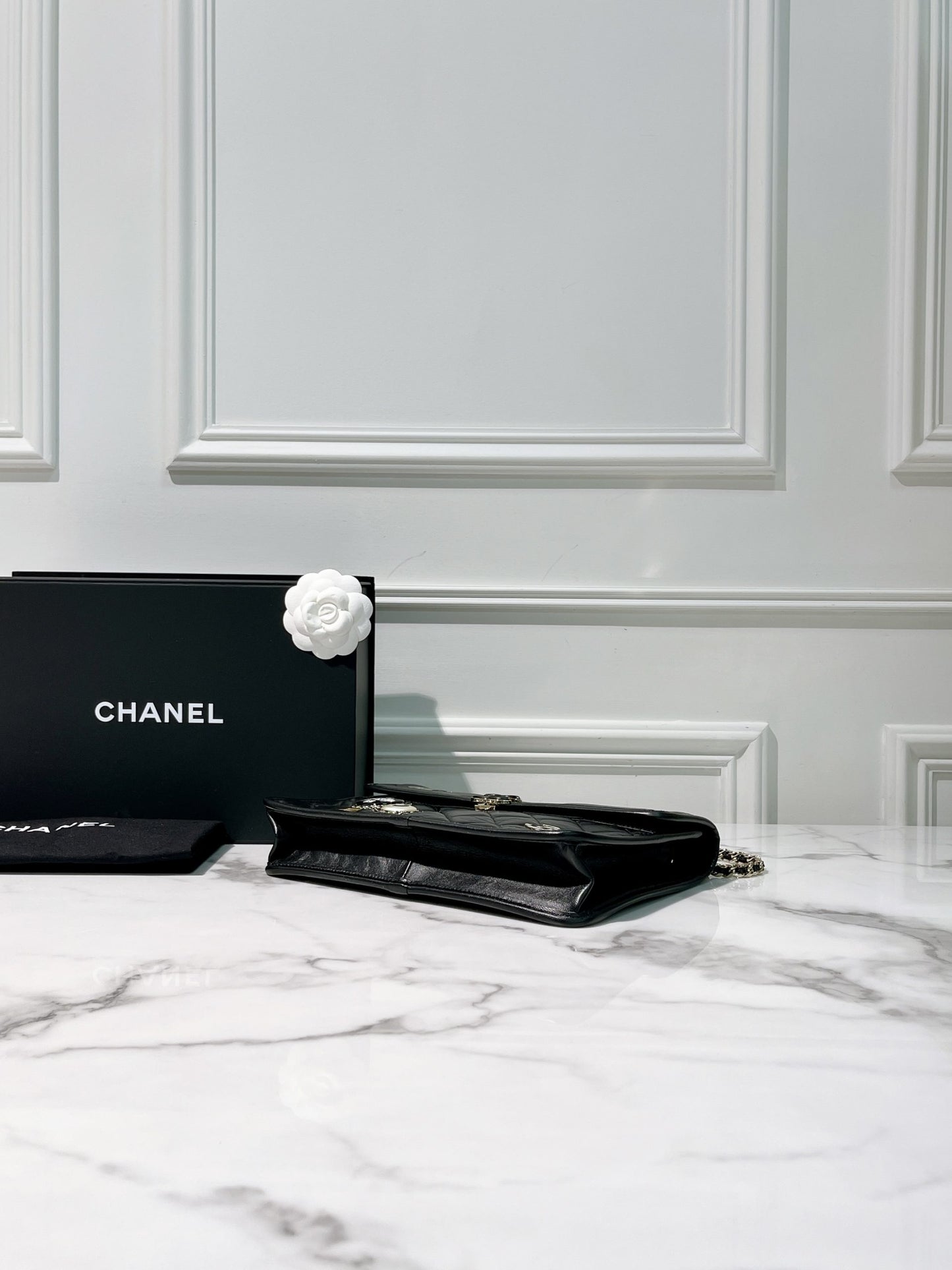 CHANEL CLUTCH WITH CHAIN