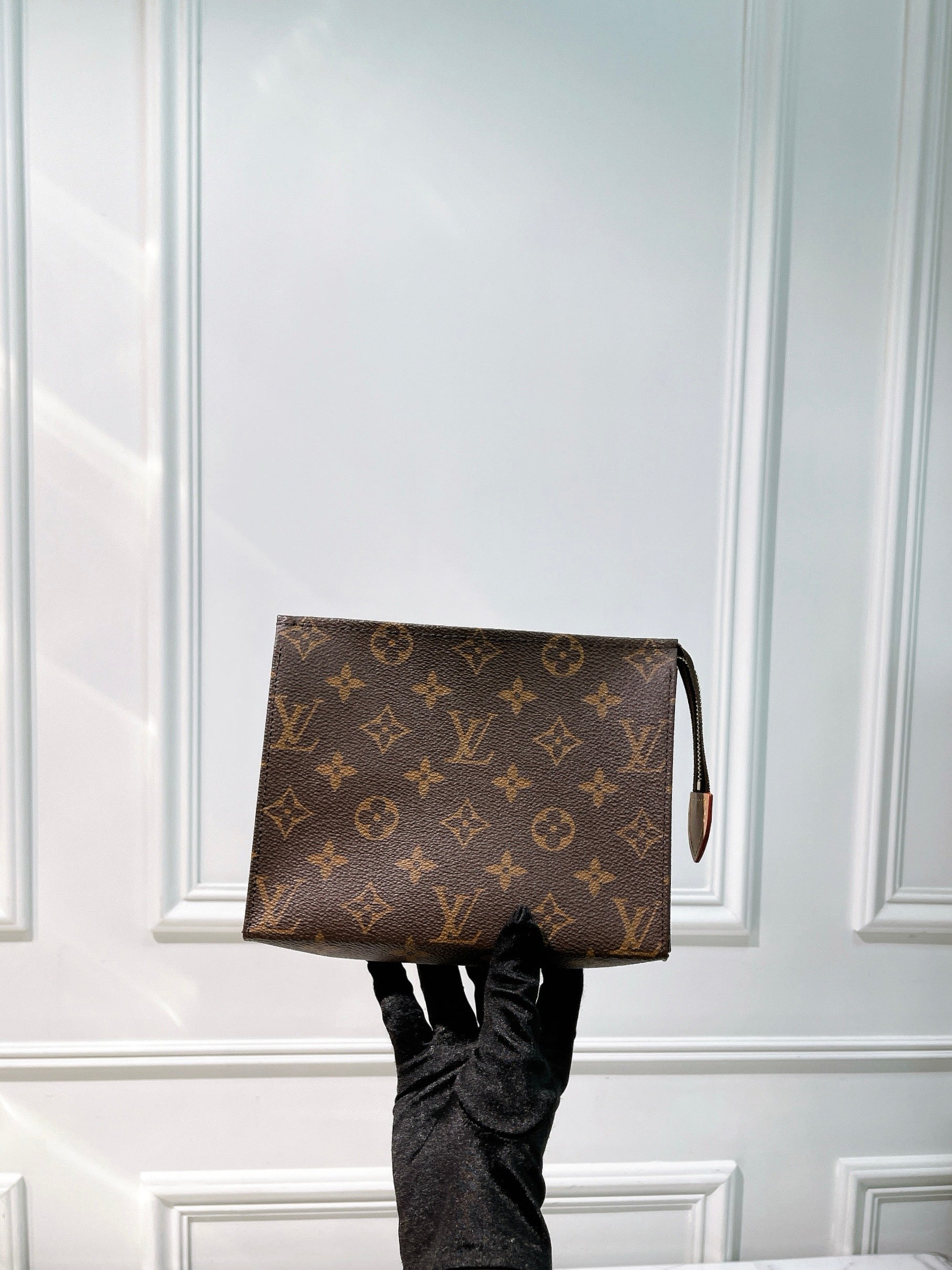 LV POCHE TOILETTE 19