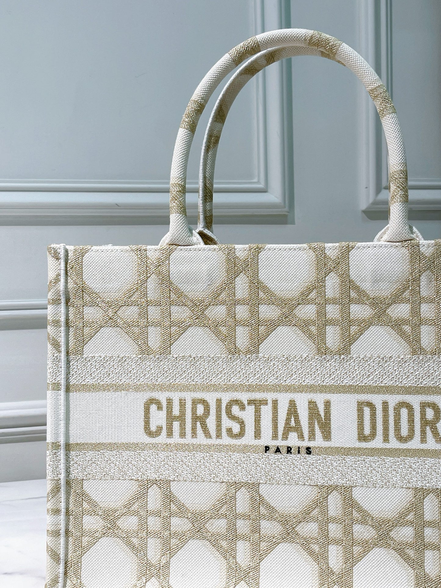 DIOR MEDIUM BOOK TOTE