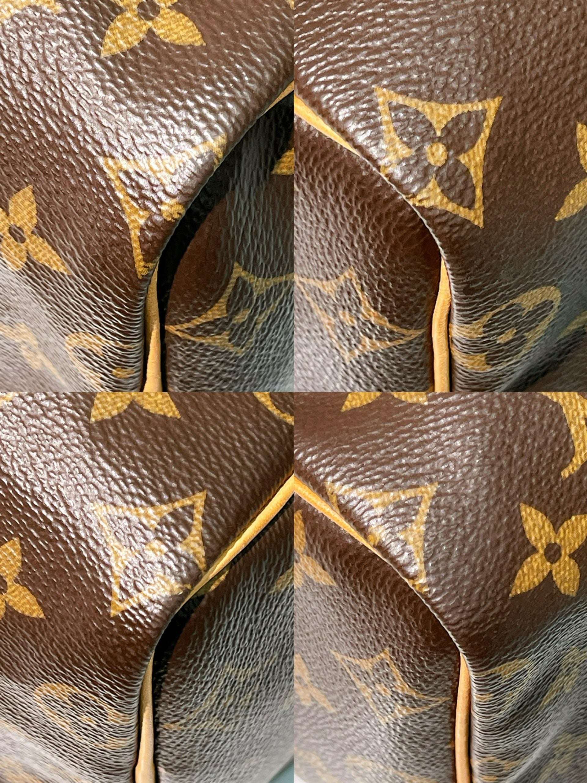 LV SPEEDY 25, Monogram