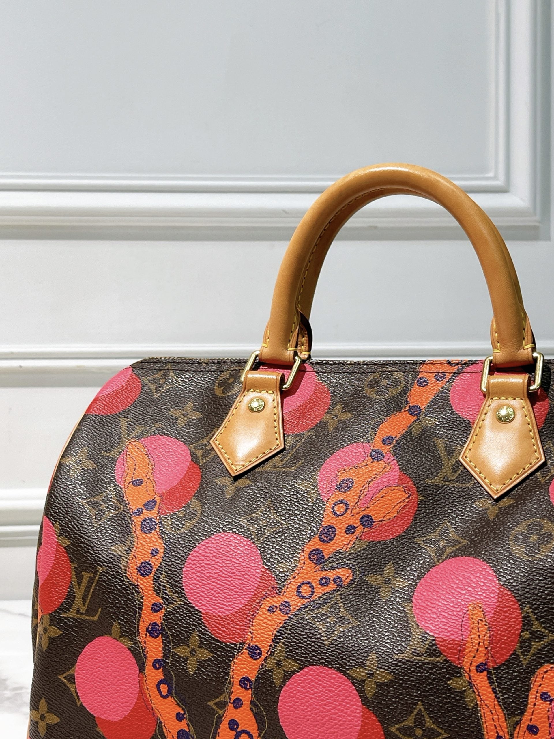 LV SPEEDY 30 RAMAGES, Monogram