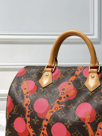 LV SPEEDY 30 RAMAGES, Monogram