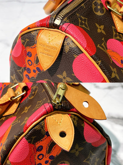 LV SPEEDY 30 RAMAGES, Monogram