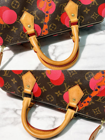 LV SPEEDY 30 RAMAGES, Monogram
