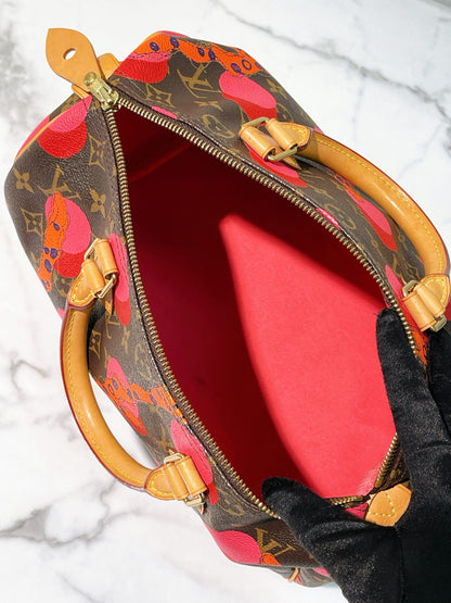 LV SPEEDY 30 RAMAGES, Monogram