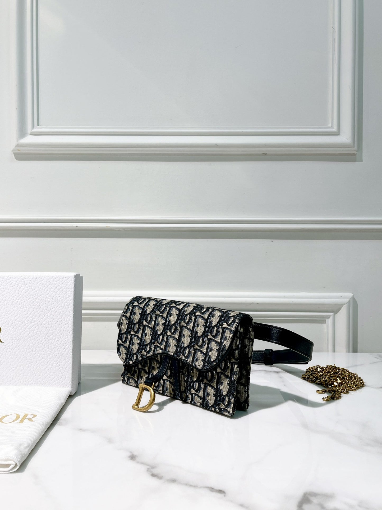 DIOR SADDLE BELT POUCH