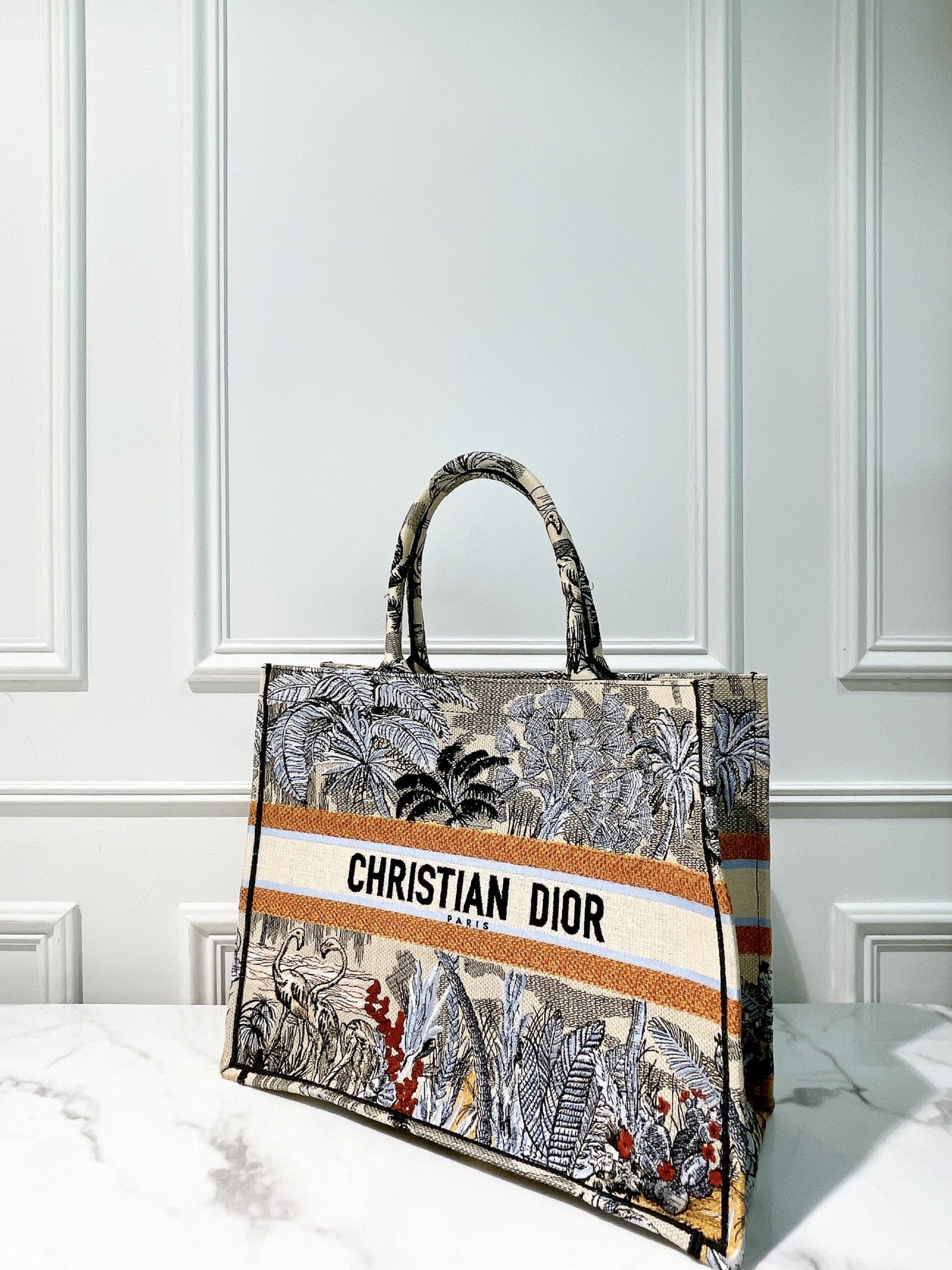 DIOR LARGE BOOK TOTE