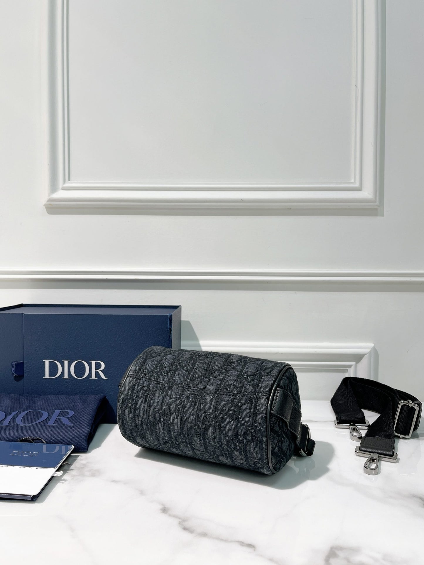 DIOR ROLLER BAG