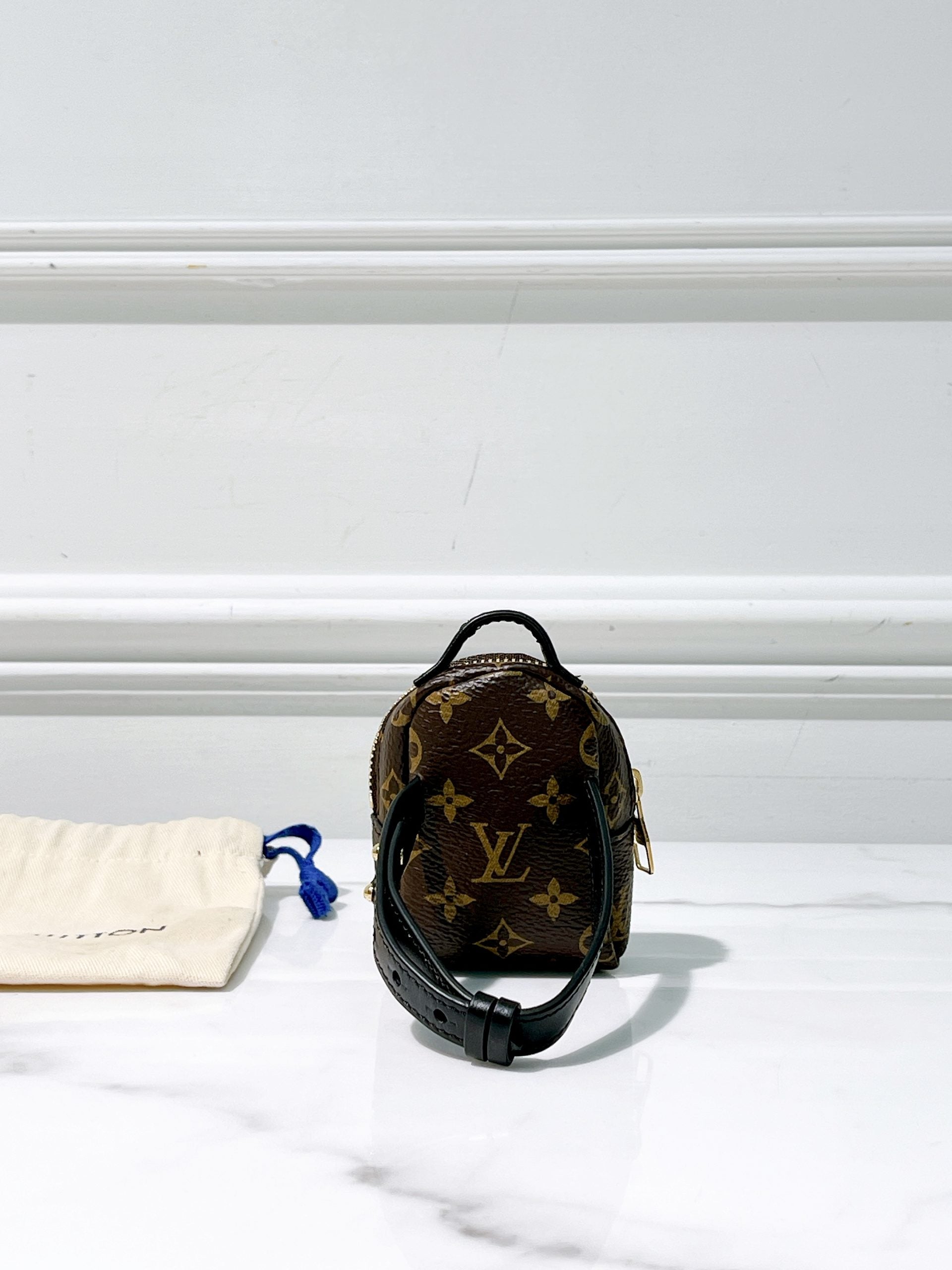 LV PARTY PALM SPRING BRACELET BAG, Monogram