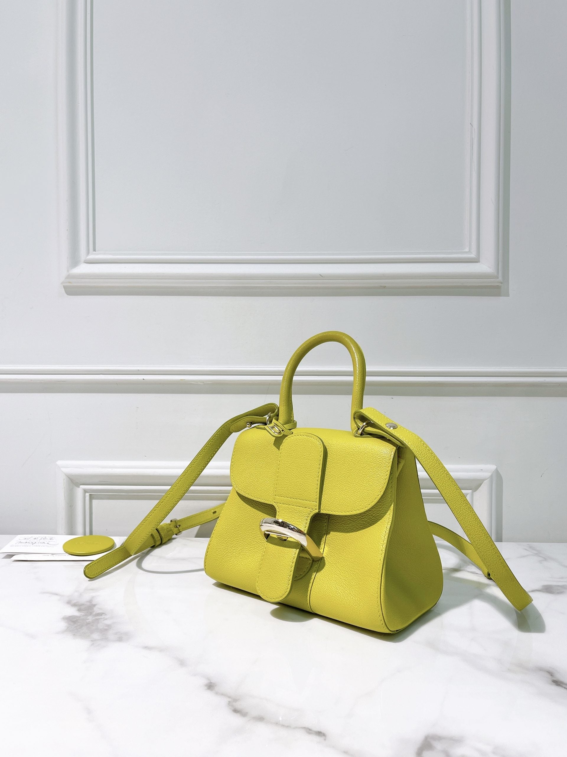 DELVAUX BRILLIANT MINI, Green/Silver