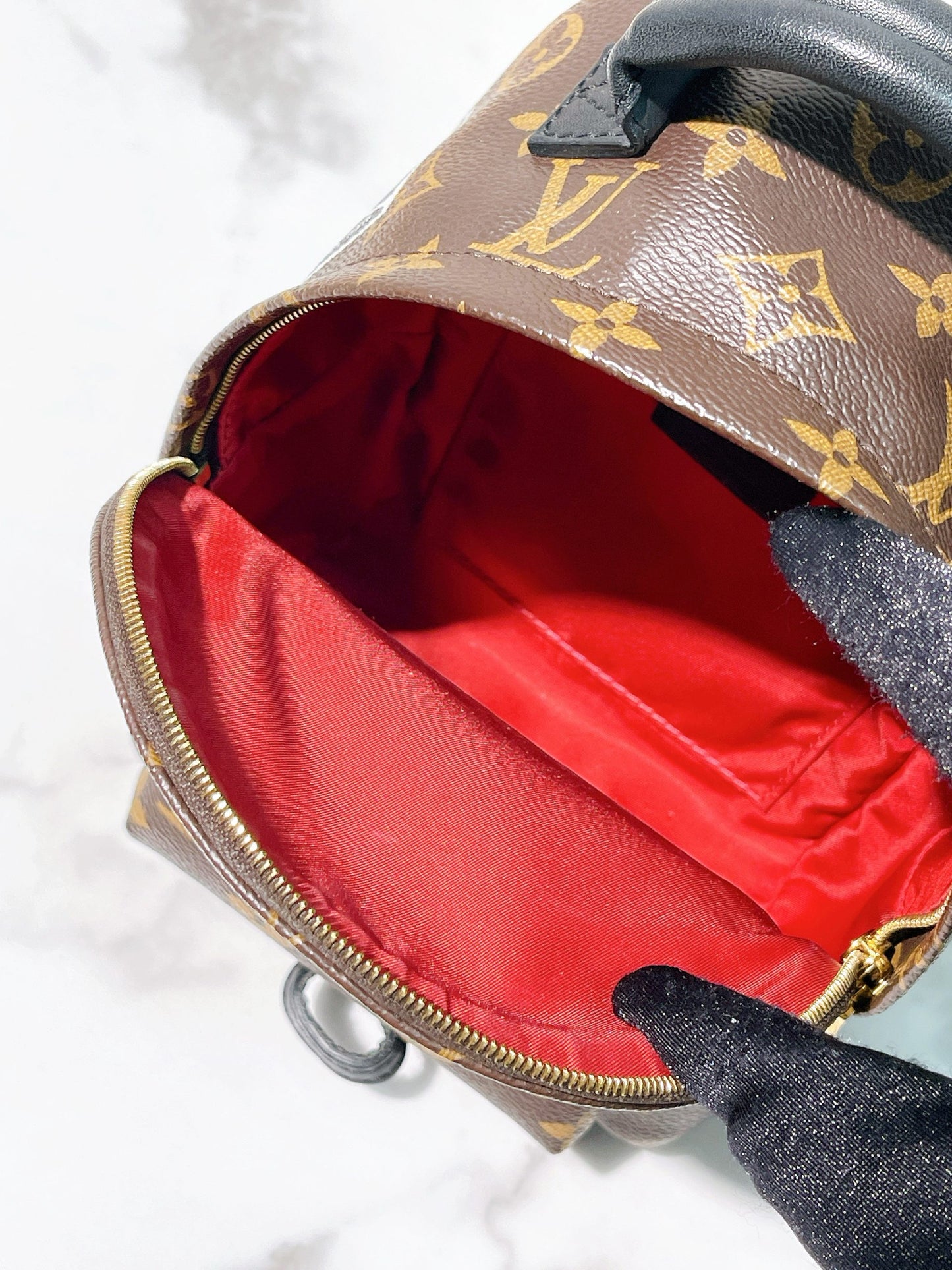 LV PALM SPRING MINI BACKPACK, Monogram