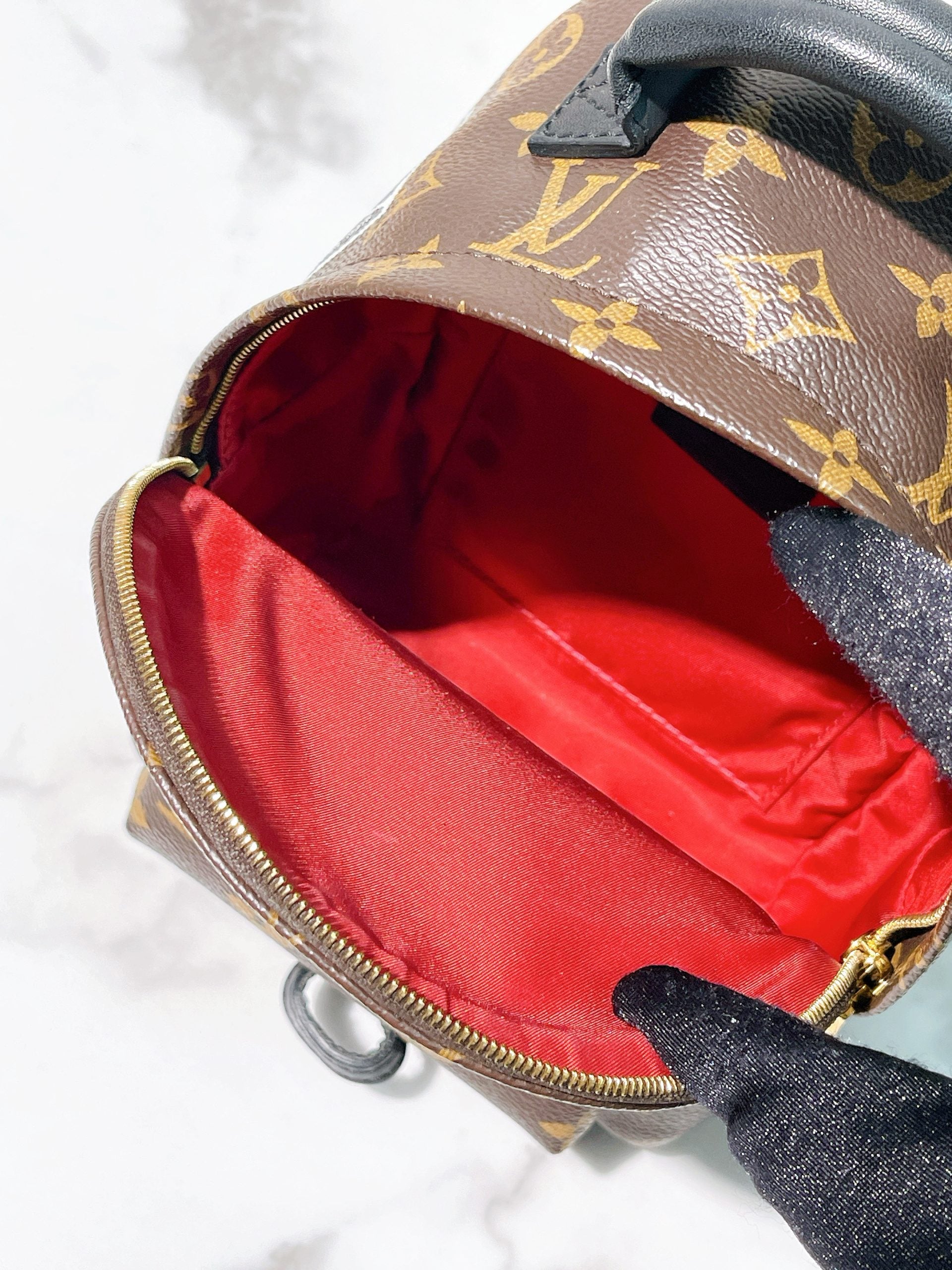 LV PALM SPRING MINI BACKPACK, Monogram