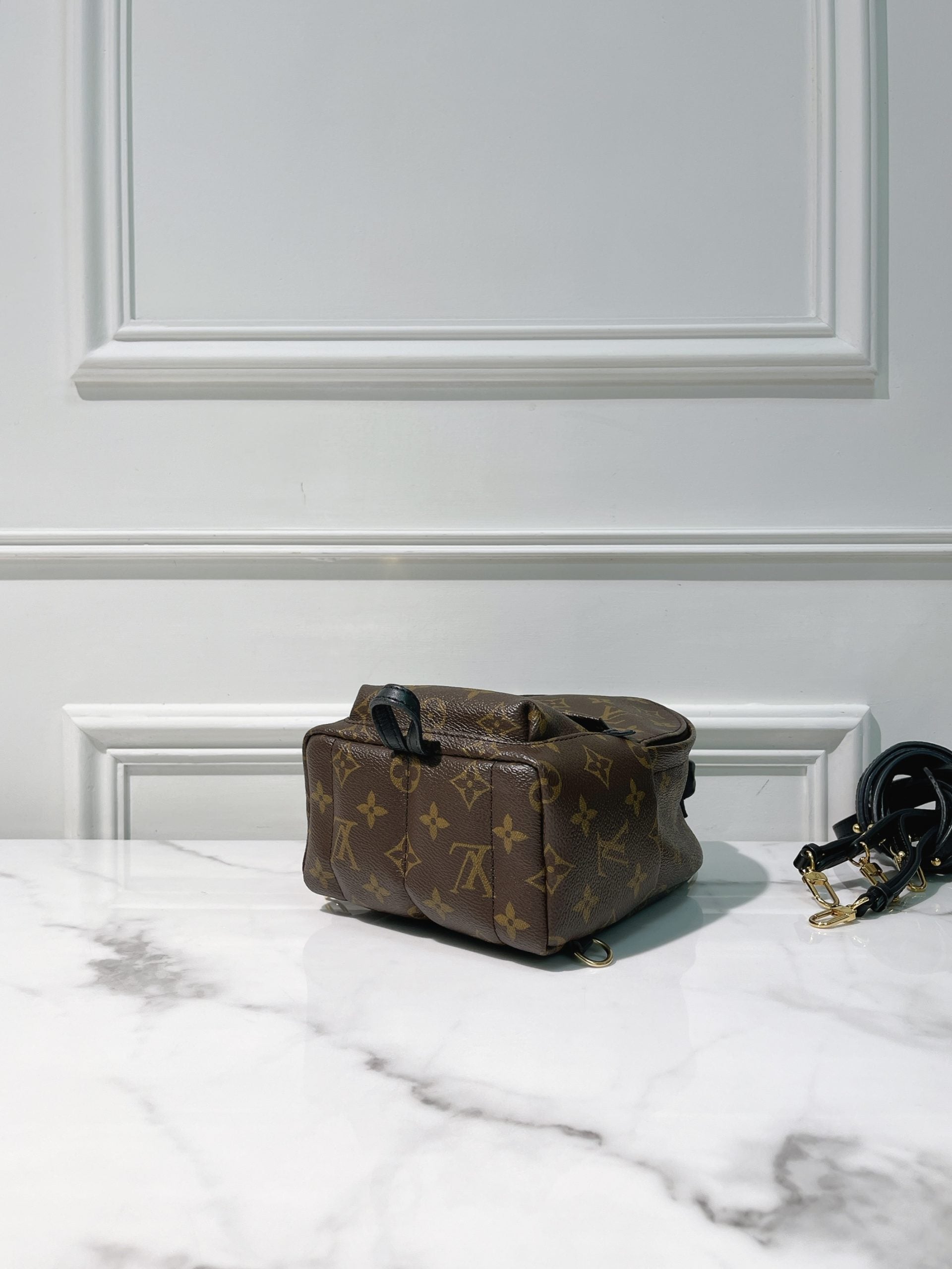 LV PALM SPRING MINI, Monogram