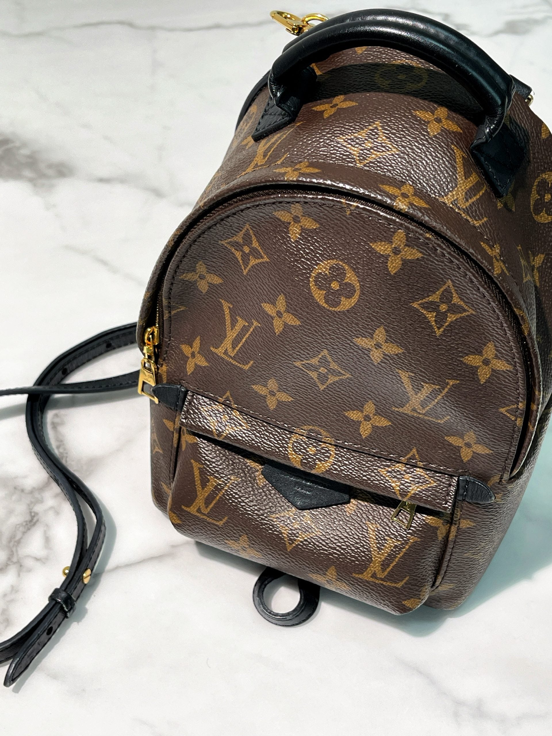 LV PALM SPRING MINI, Monogram
