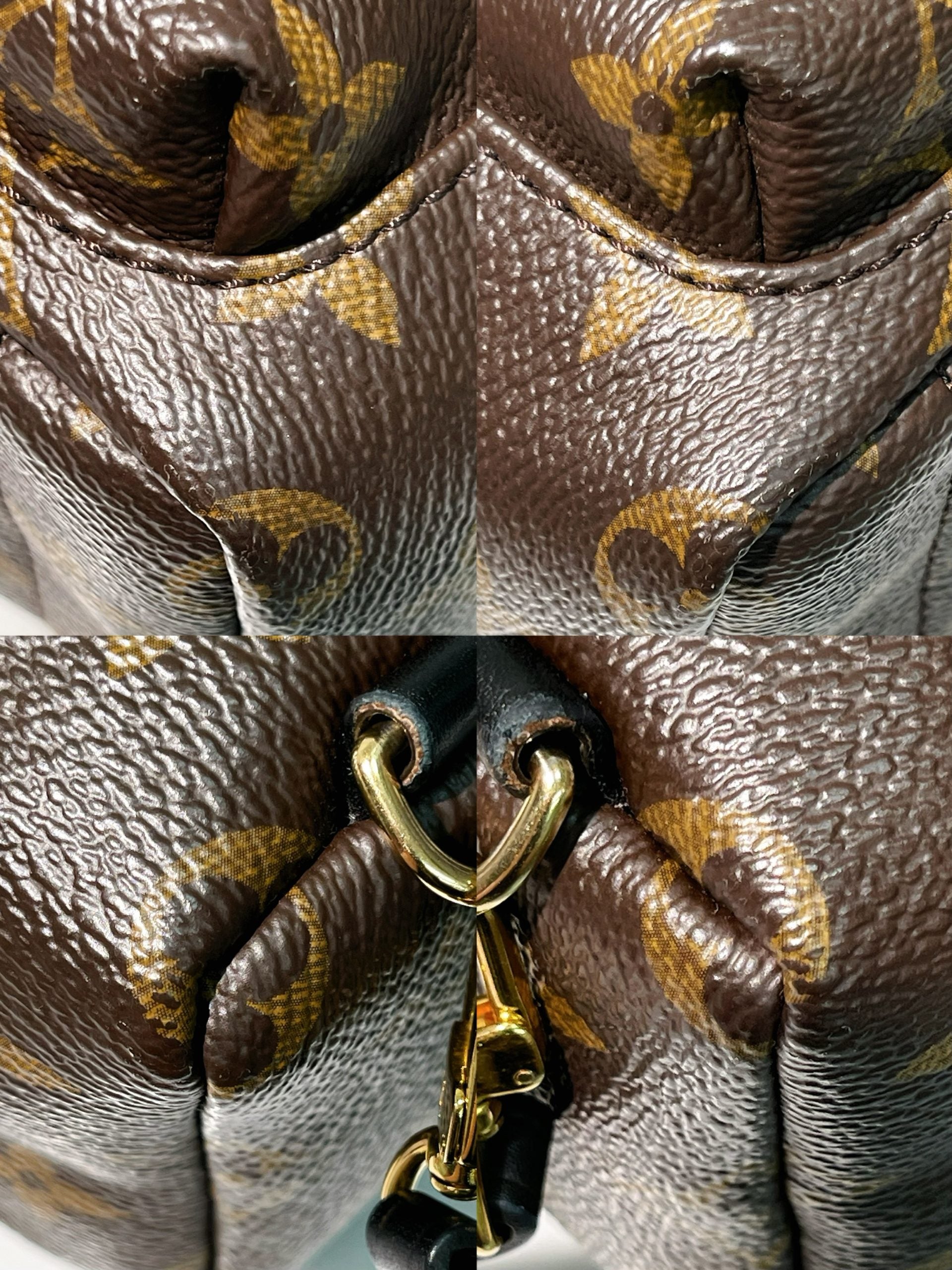 LV PALM SPRING MINI, Monogram