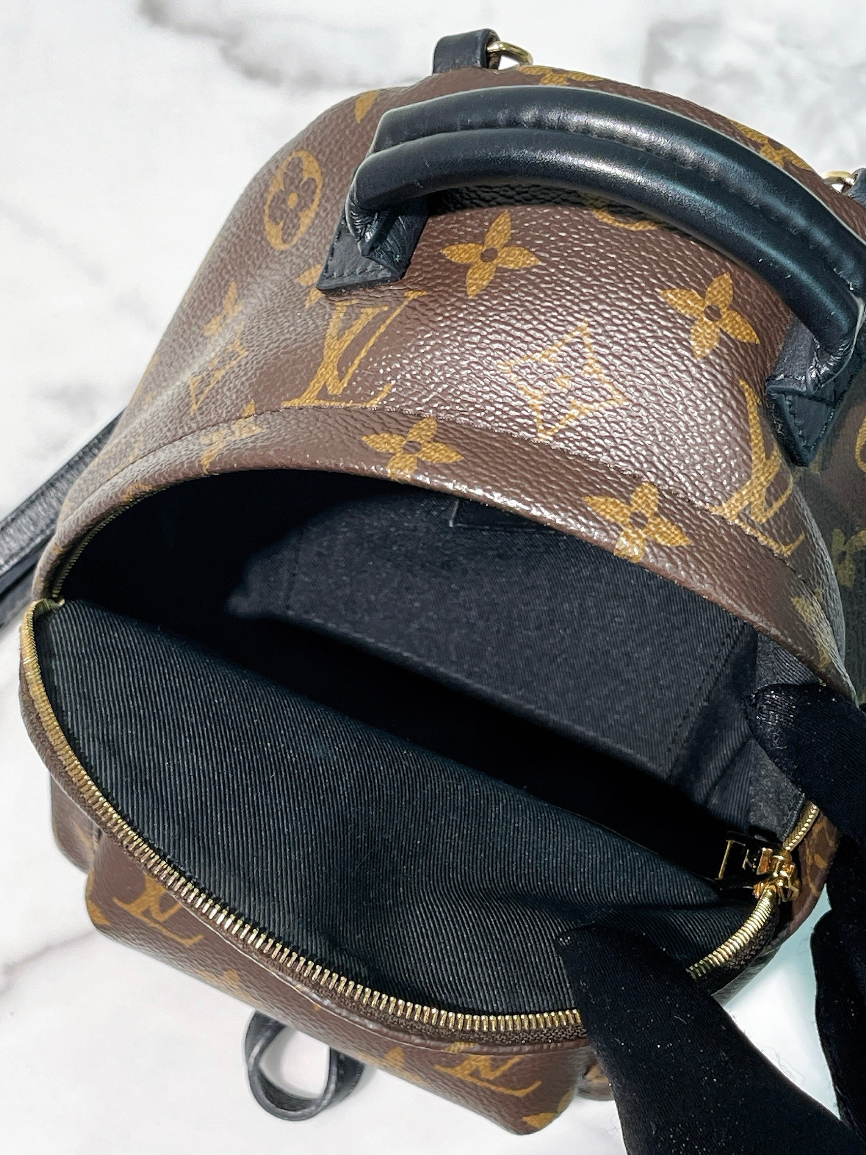 LV PALM SPRING MINI, Monogram