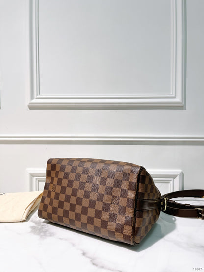 LV SPEEDY BANDOULIERE 25, Damier