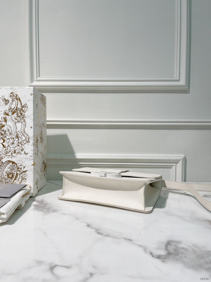 DIOR 30 MONTAIGNE BAG, White