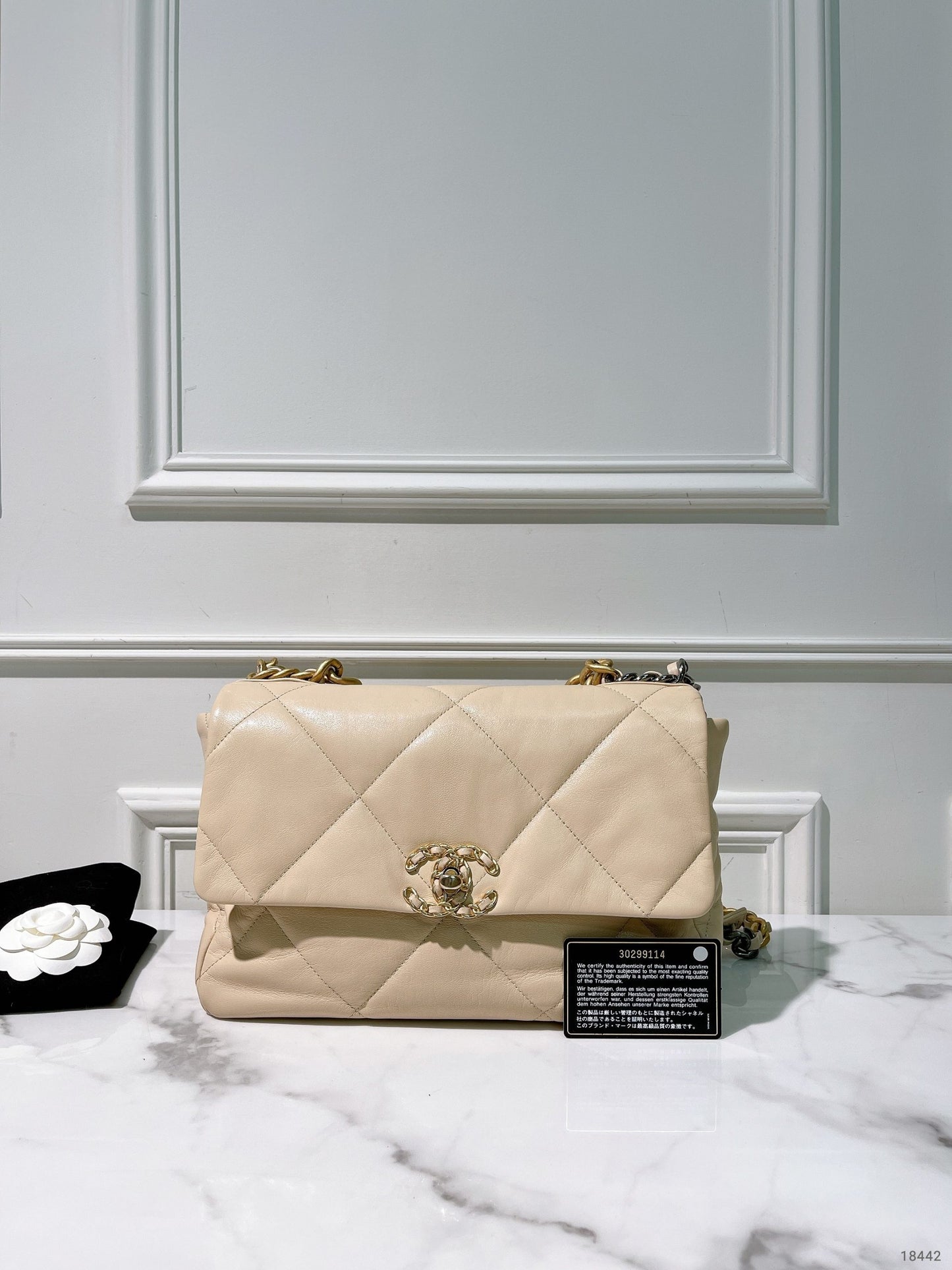 CHANEL 19 BAG, Beige/Gold