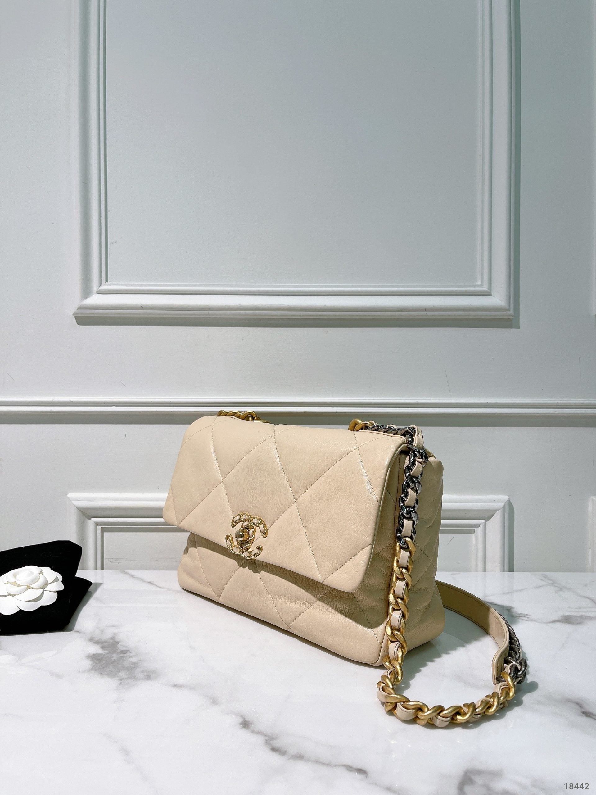 CHANEL 19 BAG, Beige/Gold
