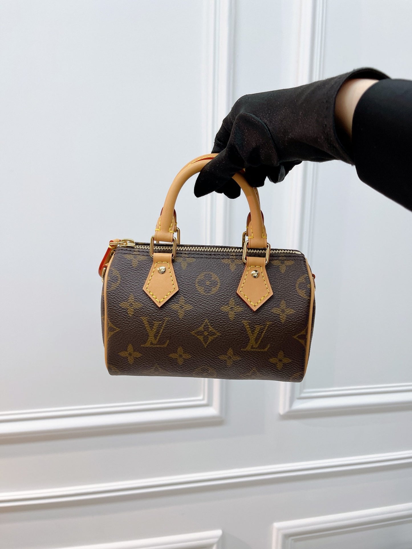 LOUIS VUITTON SPEEDY NANO