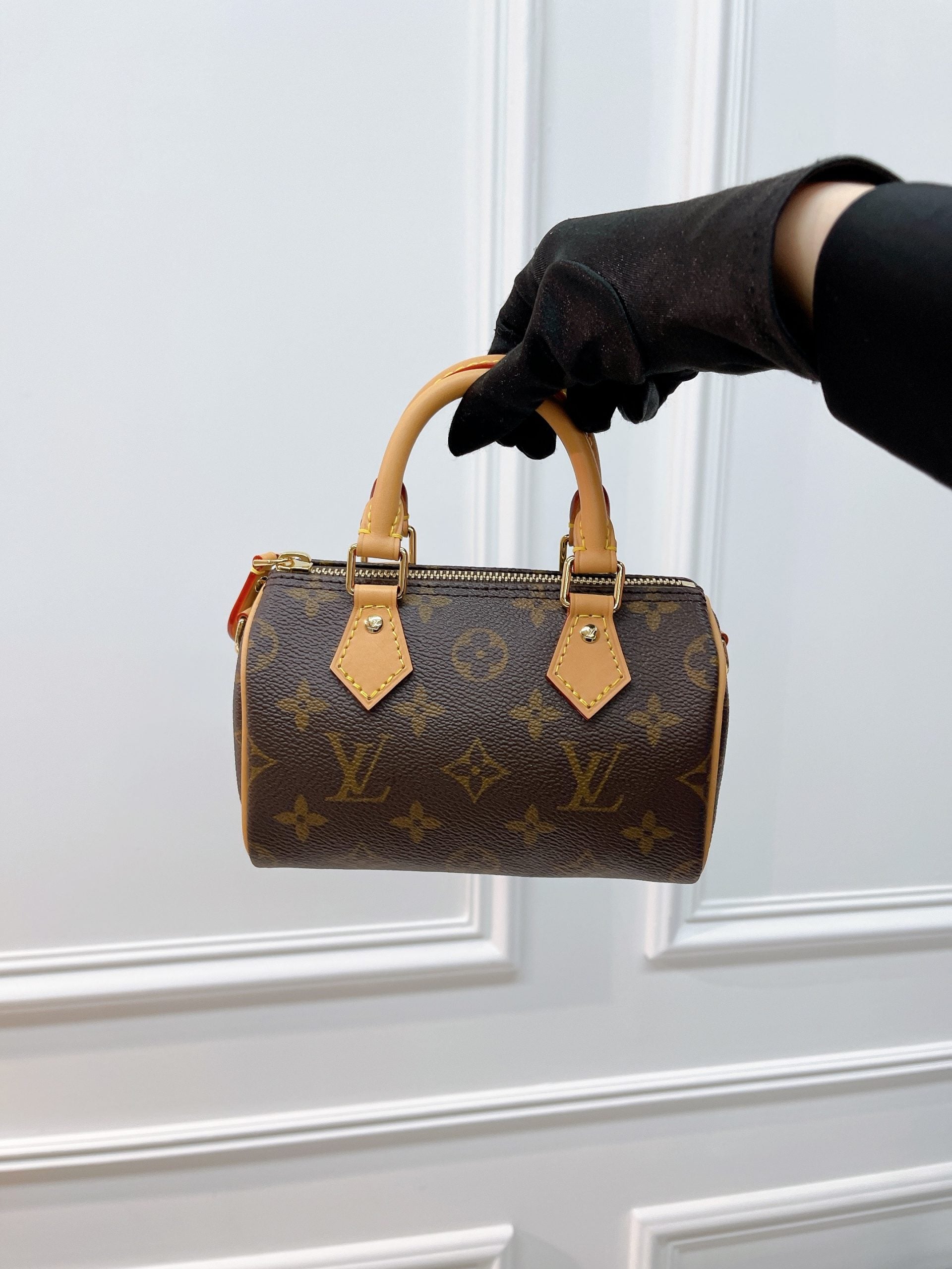 LOUIS VUITTON SPEEDY NANO