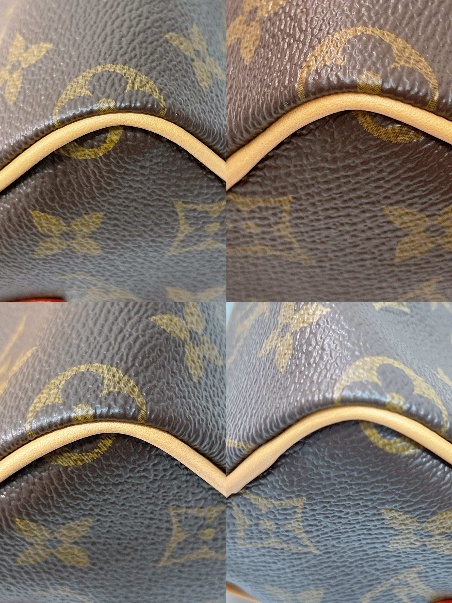 LOUIS VUITTON SPEEDY NANO