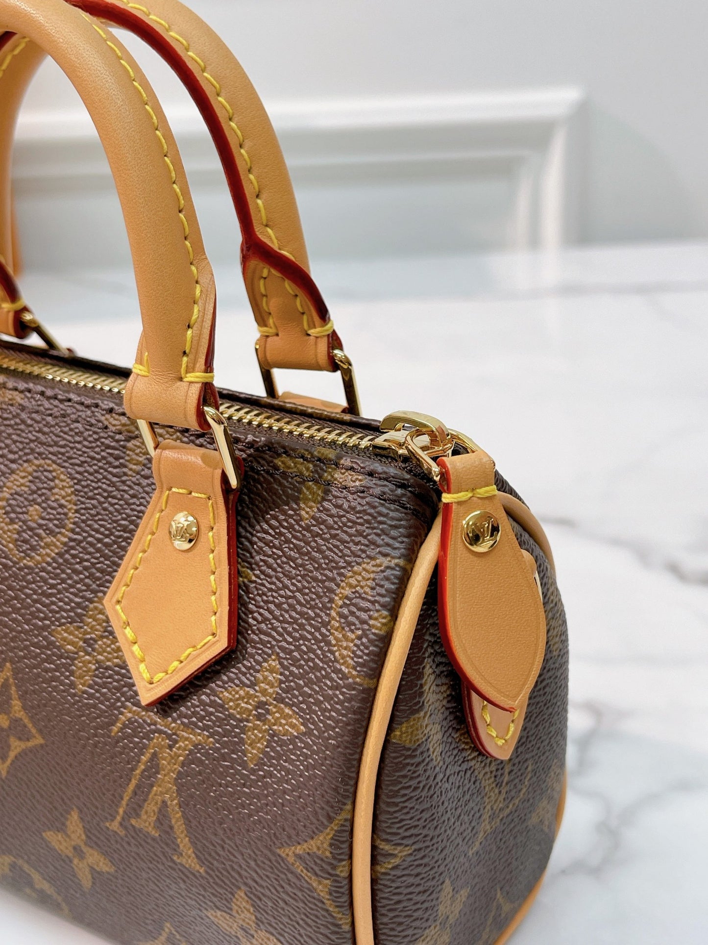 LOUIS VUITTON SPEEDY NANO