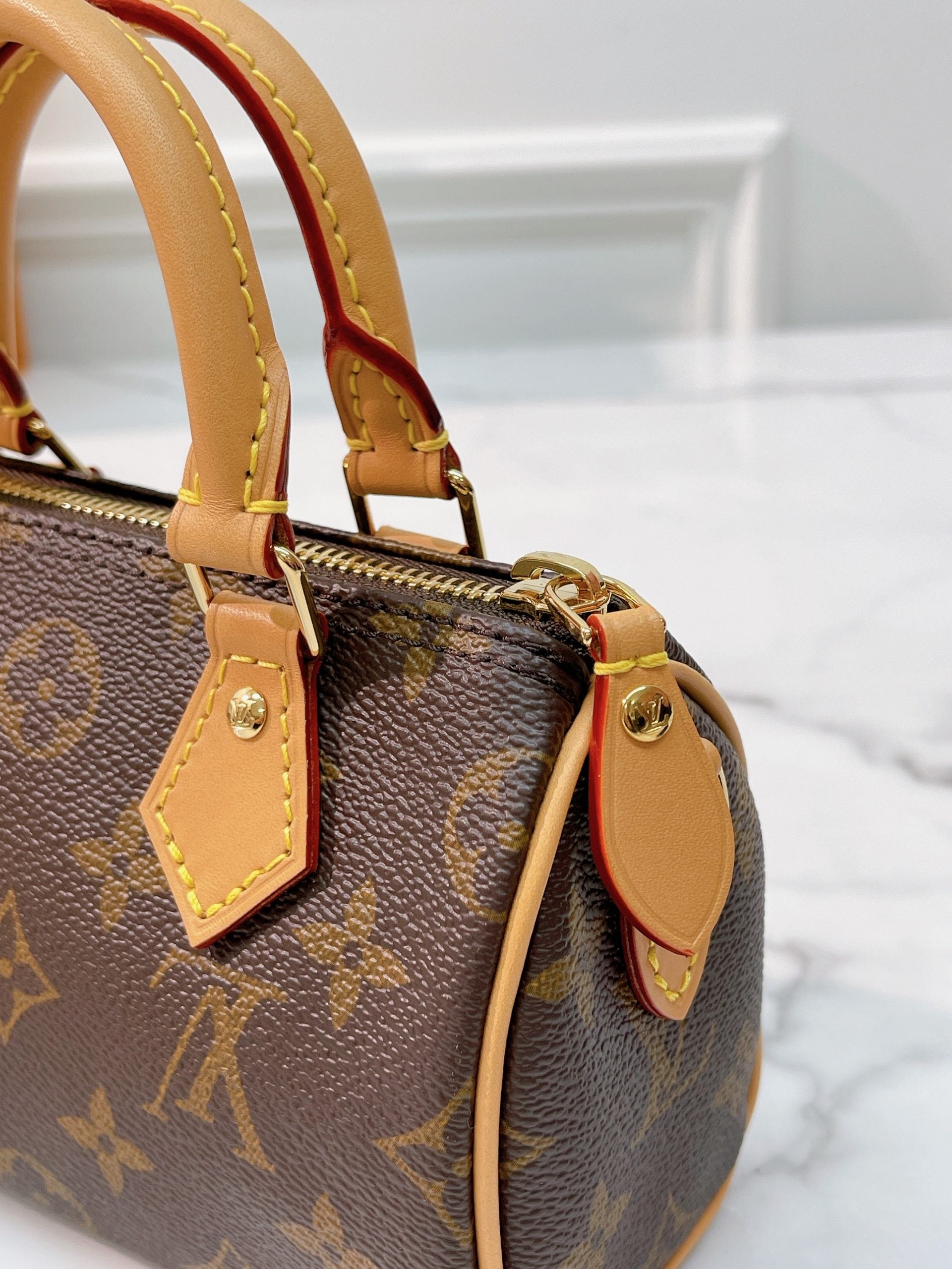 LOUIS VUITTON SPEEDY NANO