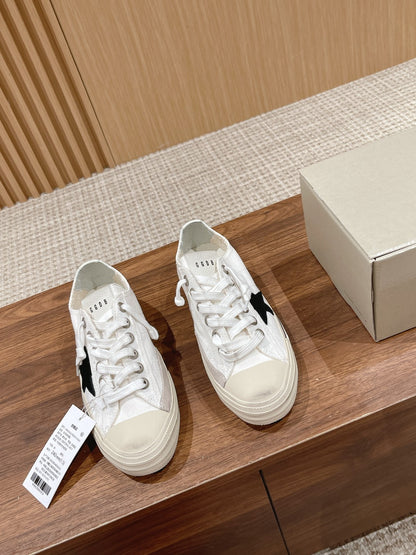 GGDB V Star Series 01